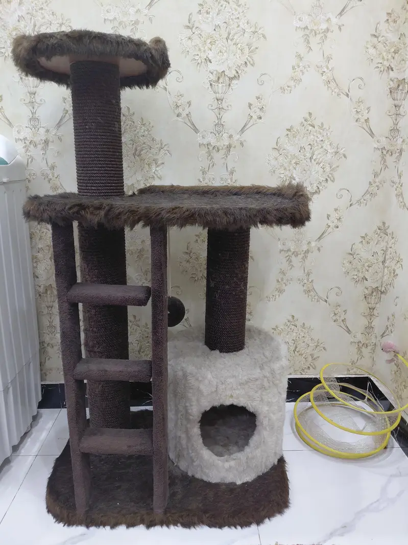 cat house and scrather — photo 2