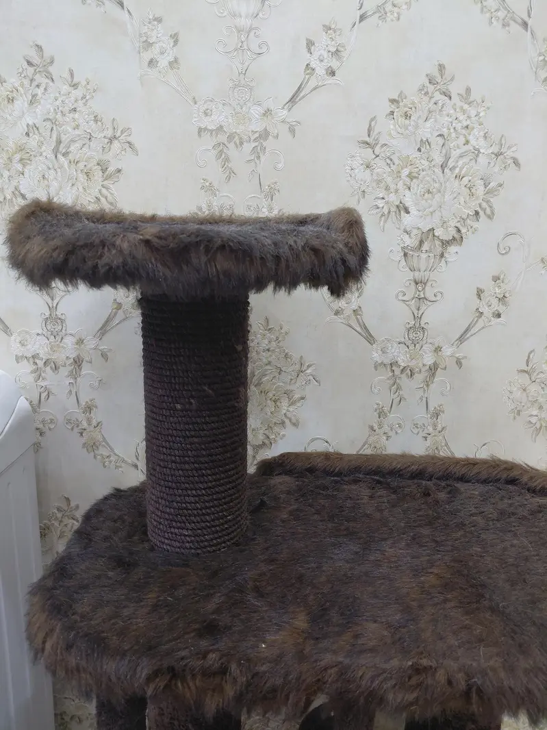 cat house and scrather — photo 3