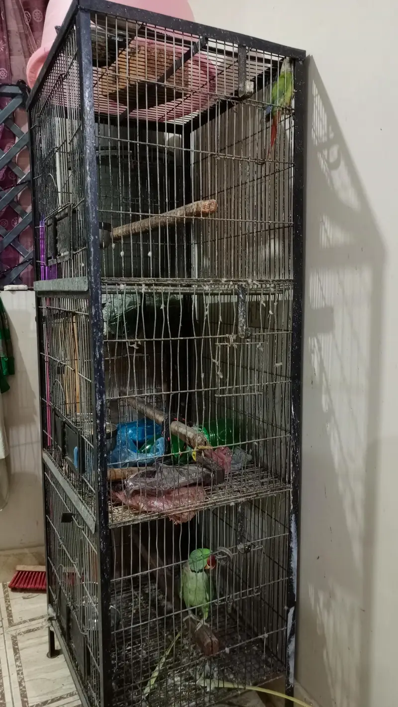 cage for sale — photo 2