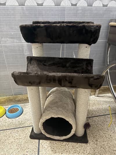 Cat Scratching Post / Cat Tree with Tunnel