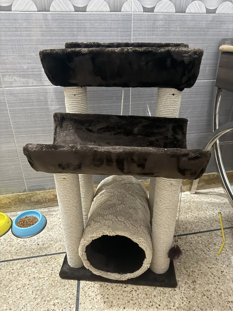 Cat Scratching Post / Cat Tree with Tunnel — photo 2