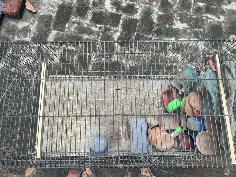 cage 77 — photo 2