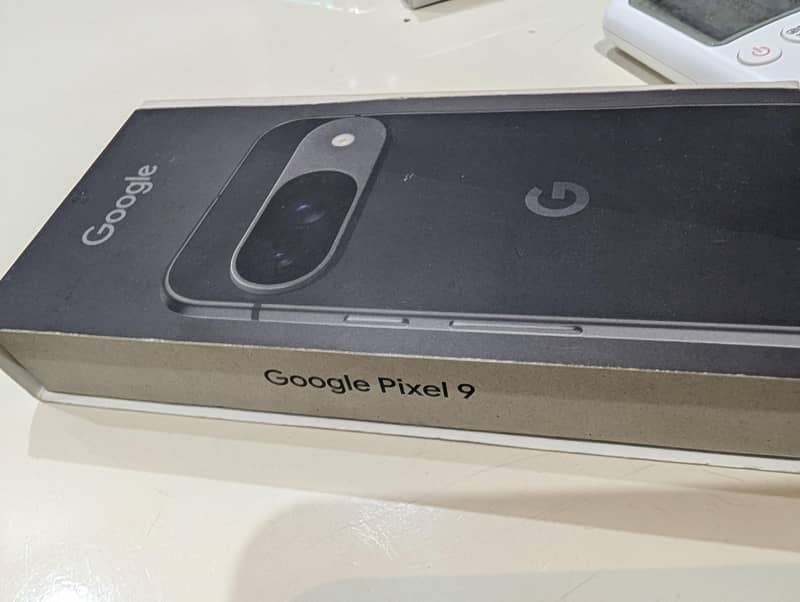 Google Pixel 9 1