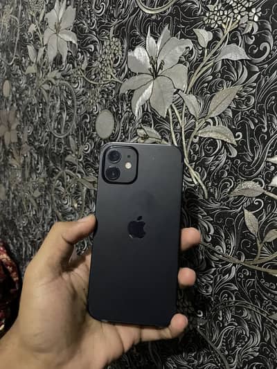 Apple iPhone 12