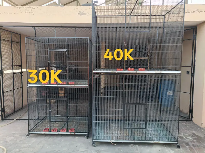 Cage for Sale — photo 11