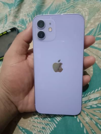 Apple iPhone 12