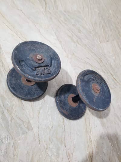 8 kg metal dumbbells