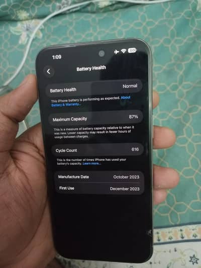 iPhone 15 Pro Max | Natural Titanium