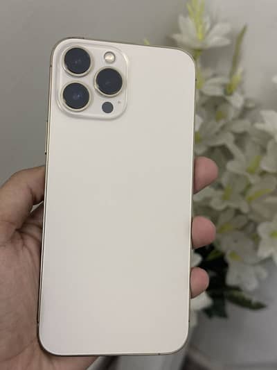 Apple iPhone 13 Pro Max