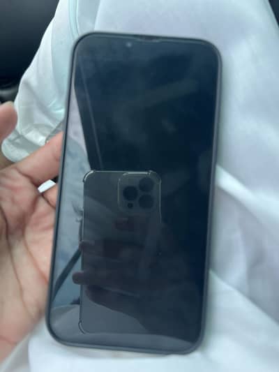 Apple iPhone 13 Pro Max