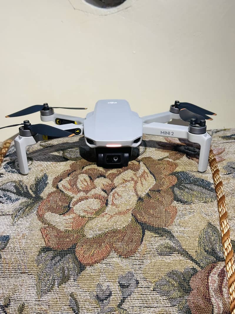 DJI MINI 2 10