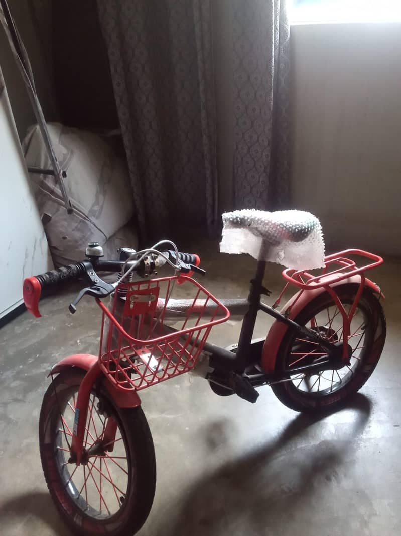 BICYCLE  0