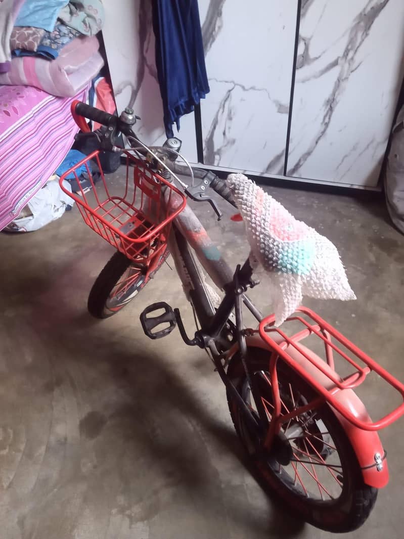 BICYCLE  1