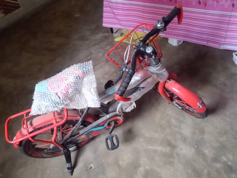 BICYCLE  4