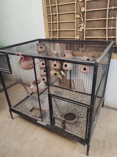 cage for bards