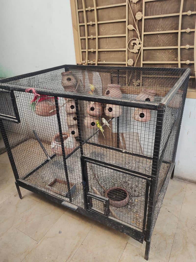 cage for bards 0
