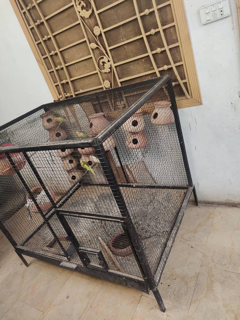 cage for bards 1