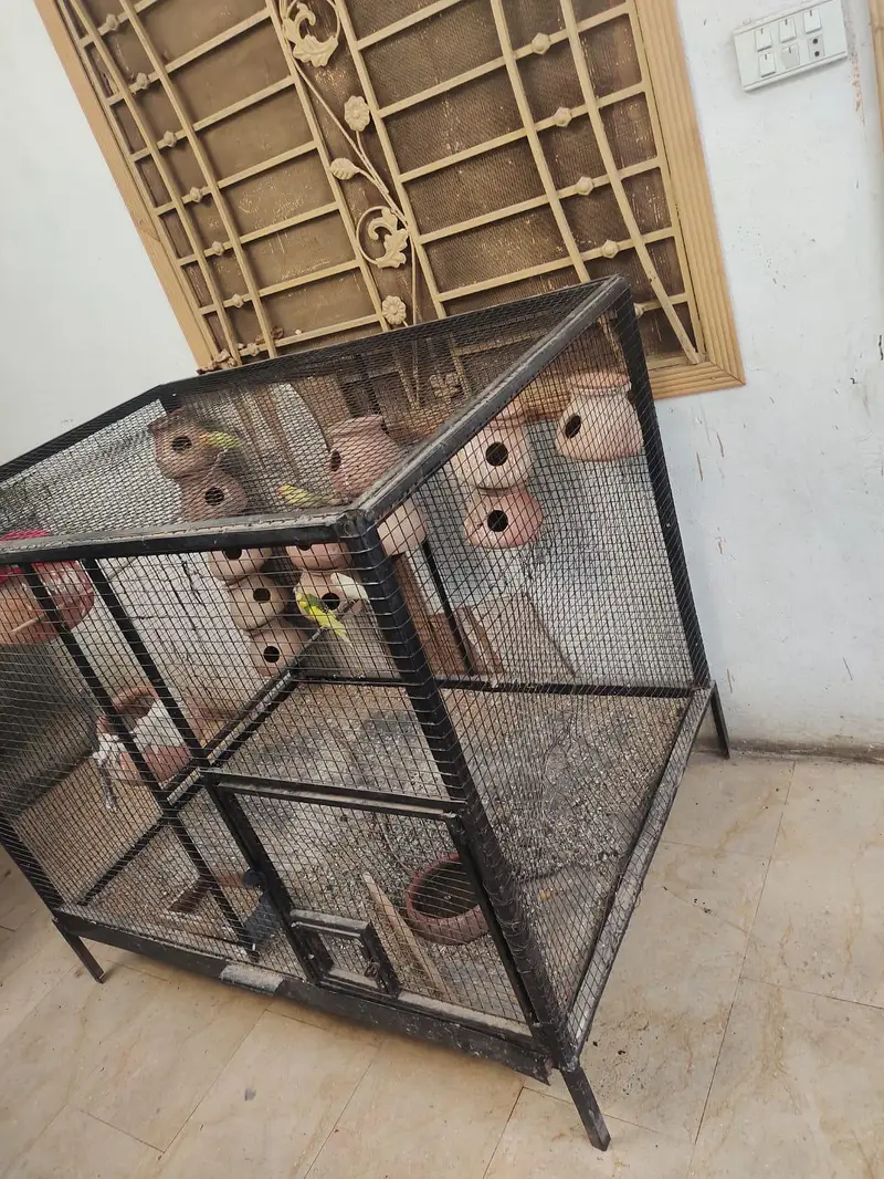 cage for bards — photo 2