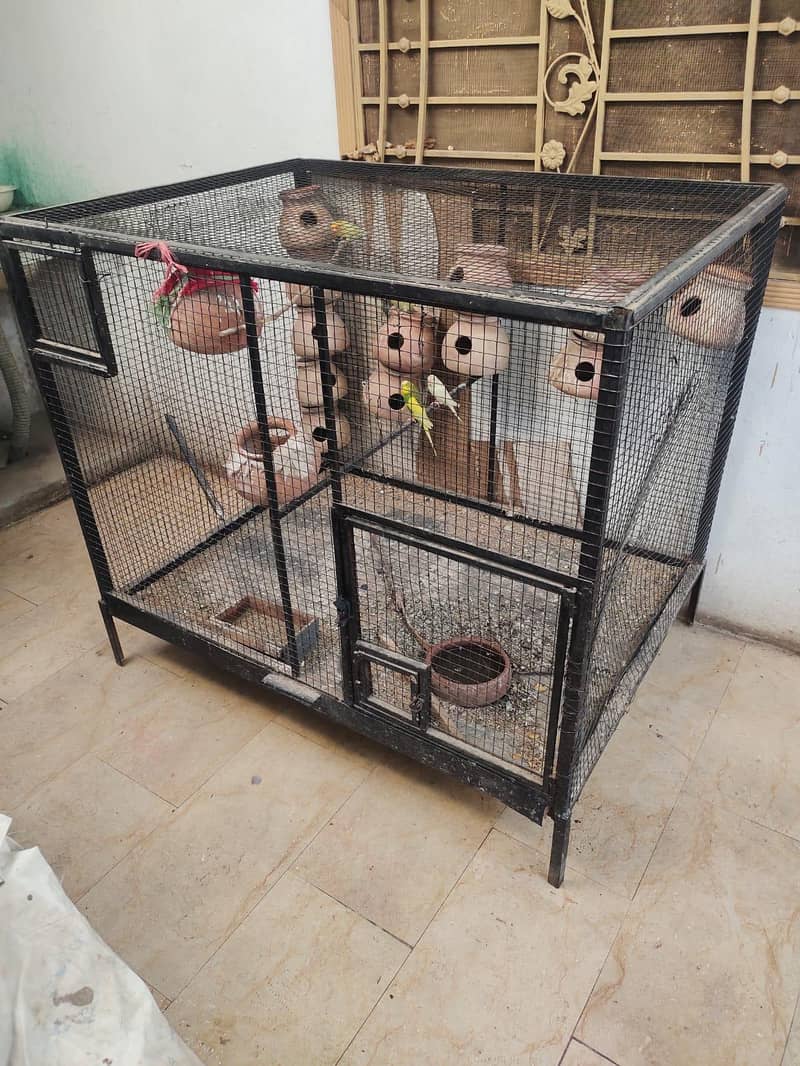 cage for bards 2