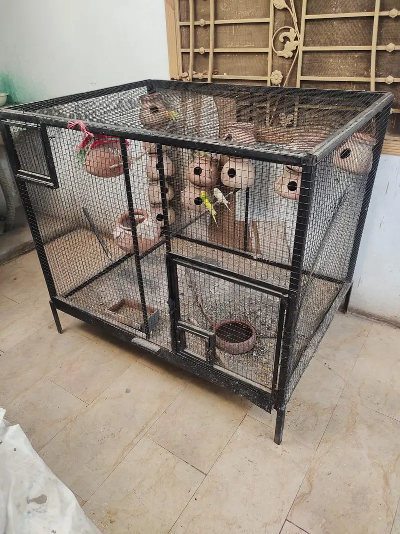 cage for bards — photo 3