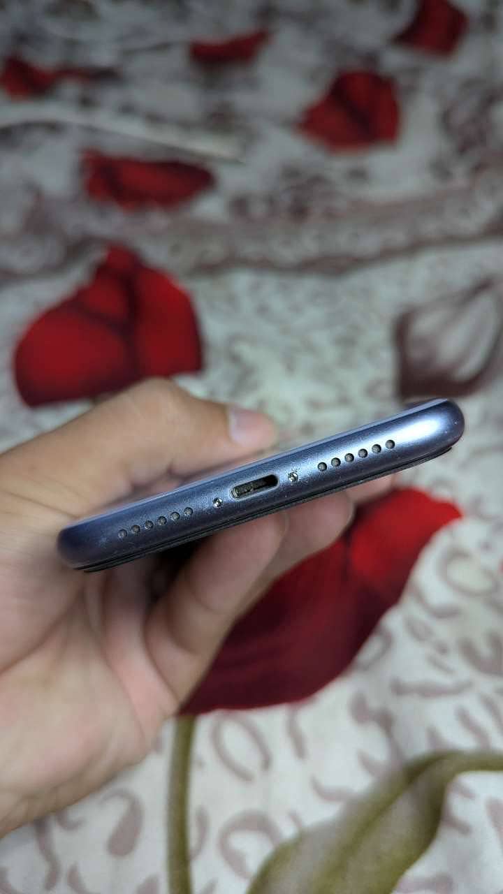 Apple iPhone 11 2