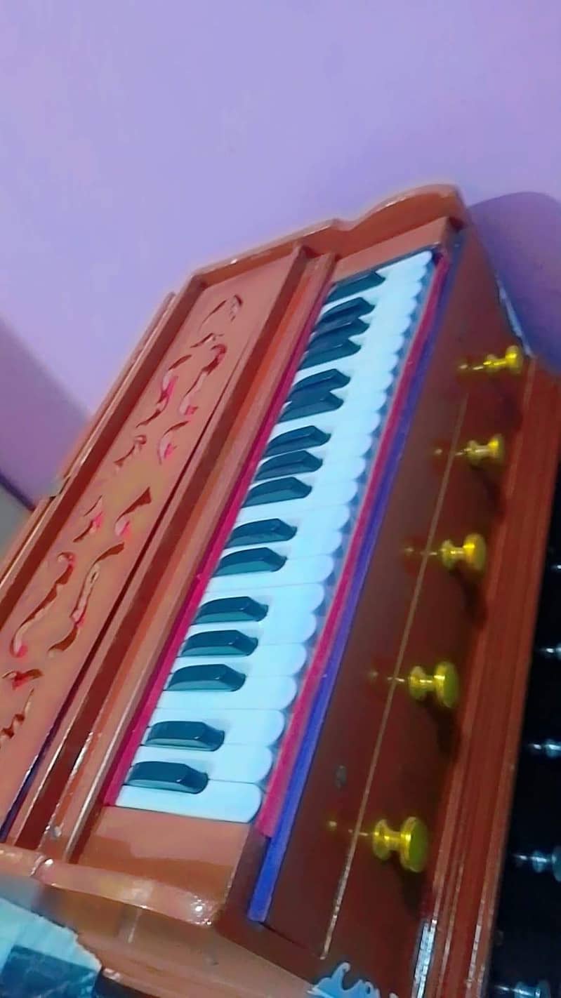 indian harmonium 1