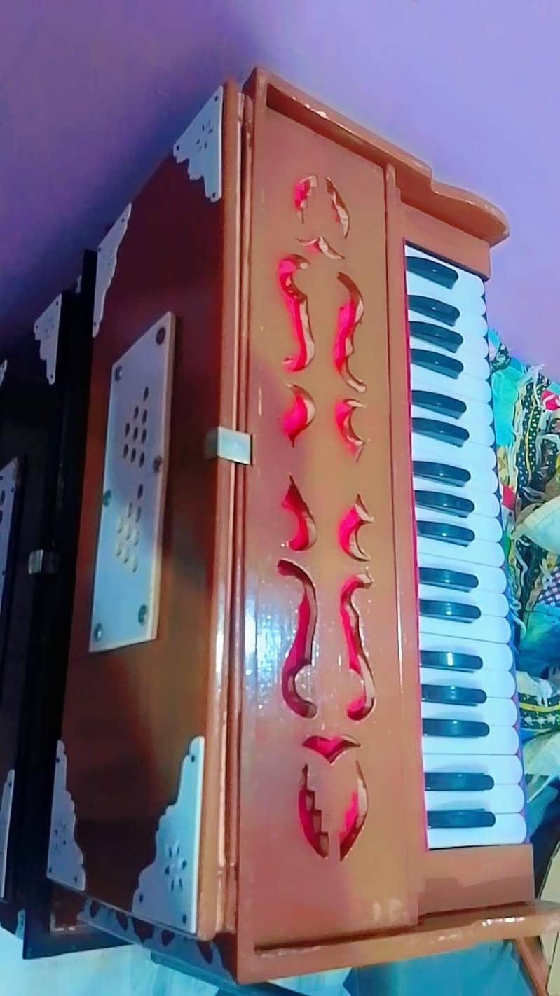 indian harmonium 2