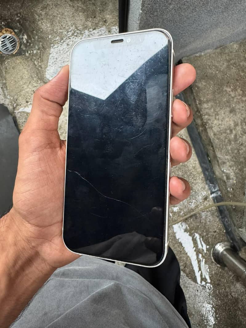 Apple iPhone 12 1