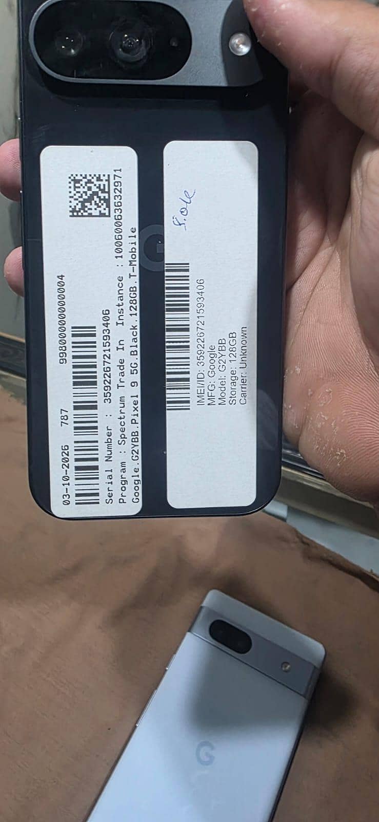 Google Pixel 9 1