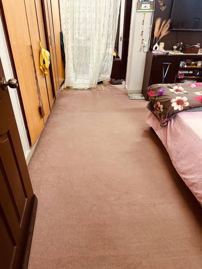 Slightly Used Room Carpet with Under Layer