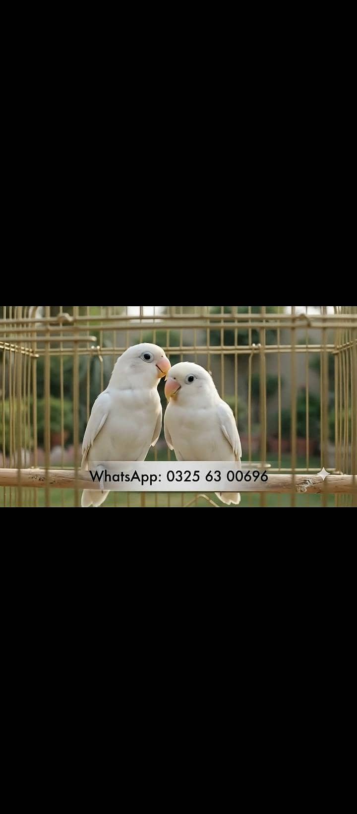 Breeders 0