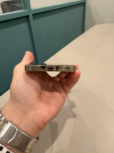 Apple iPhone 13 Pro