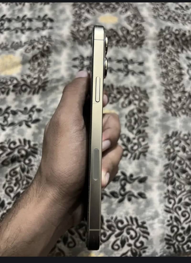 iPhone 13 Pro Max 1