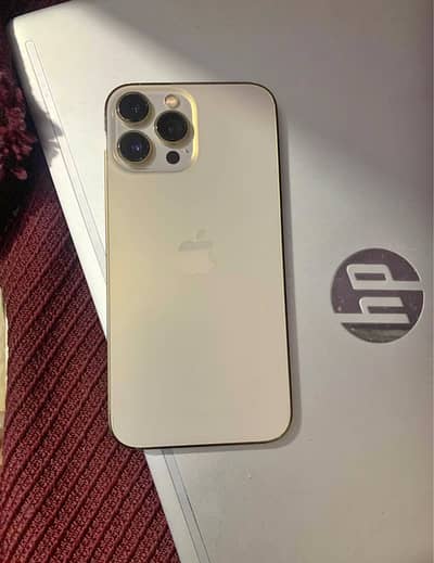 13pro max ( 256Gb waterpack )