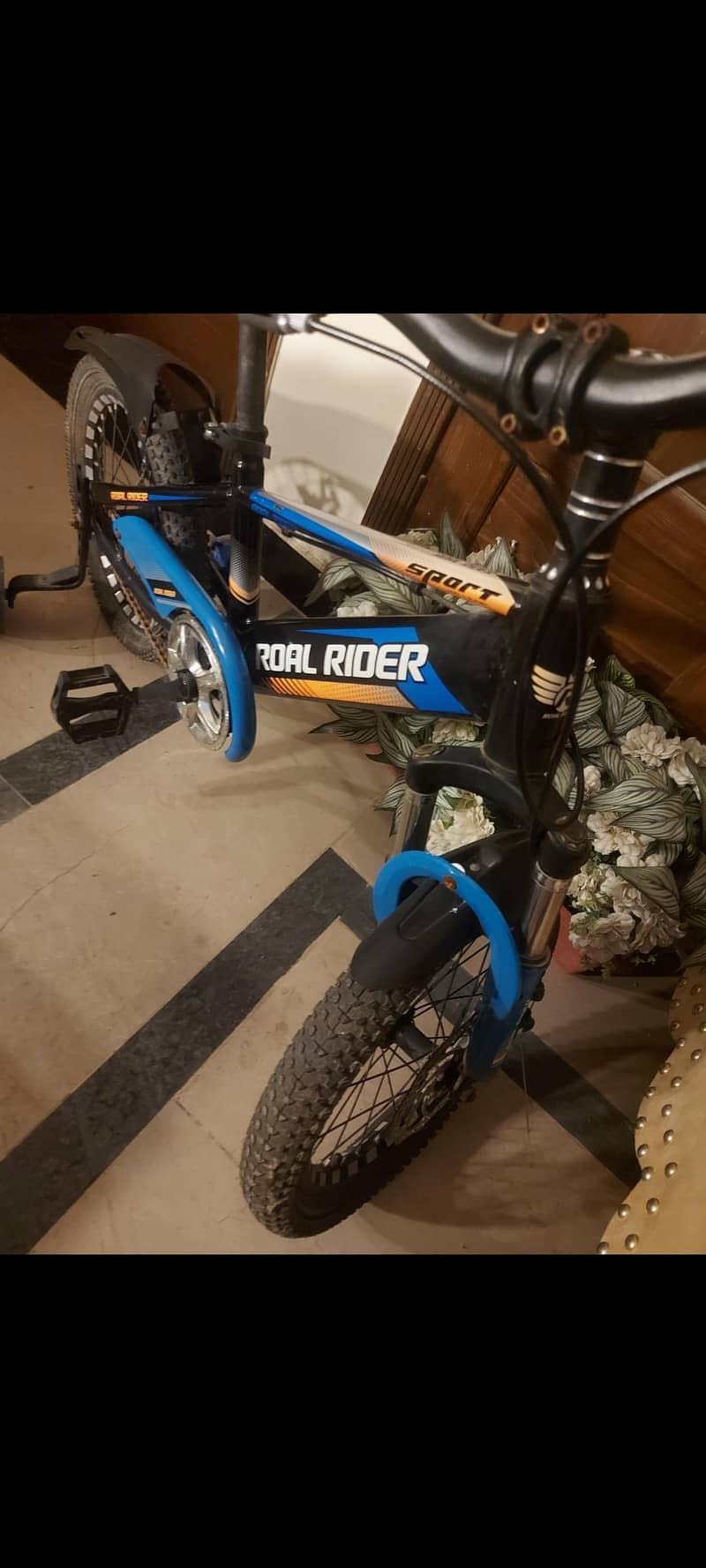 bicycle 1