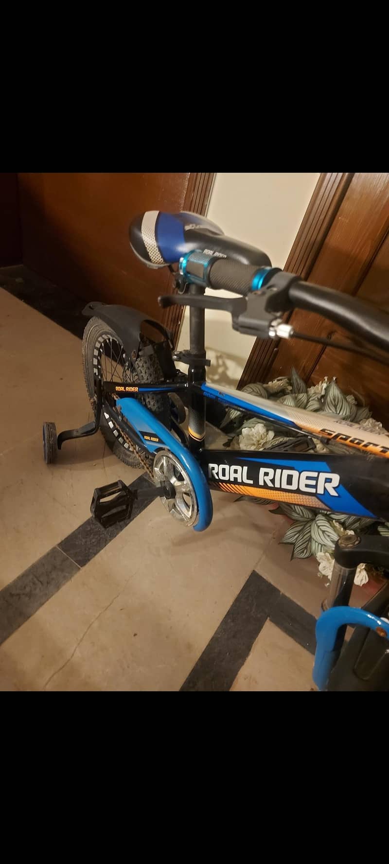 bicycle 2