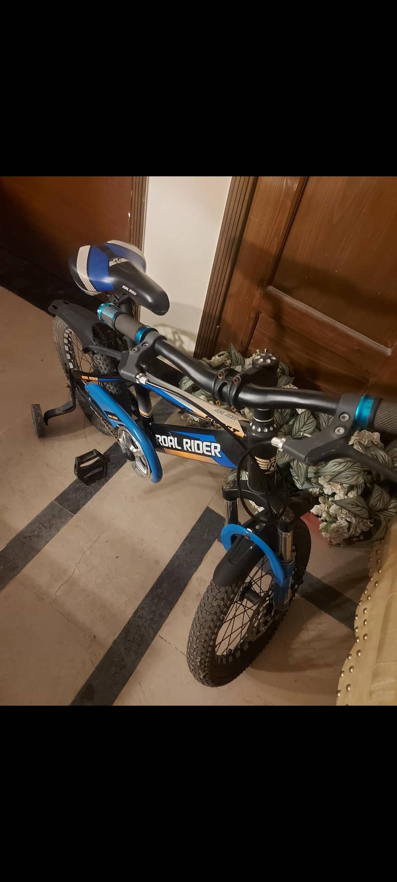 bicycle 3