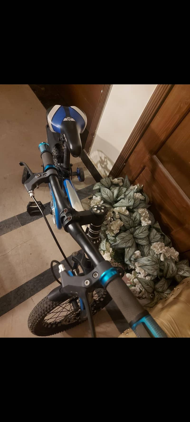 bicycle 4