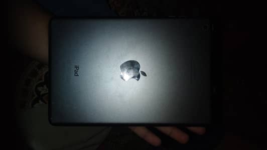 I pad mini 1 16 ram 10/10