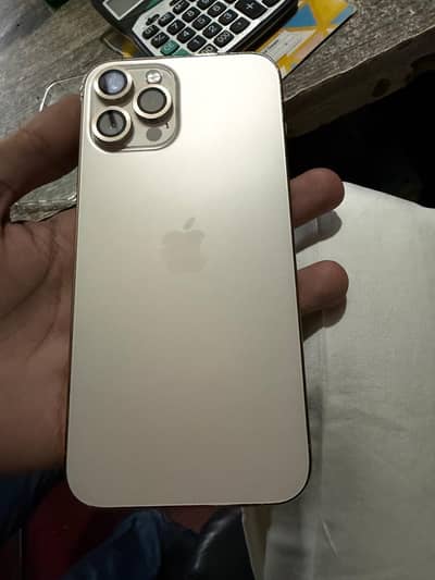 Apple iPhone 12 Pro Max