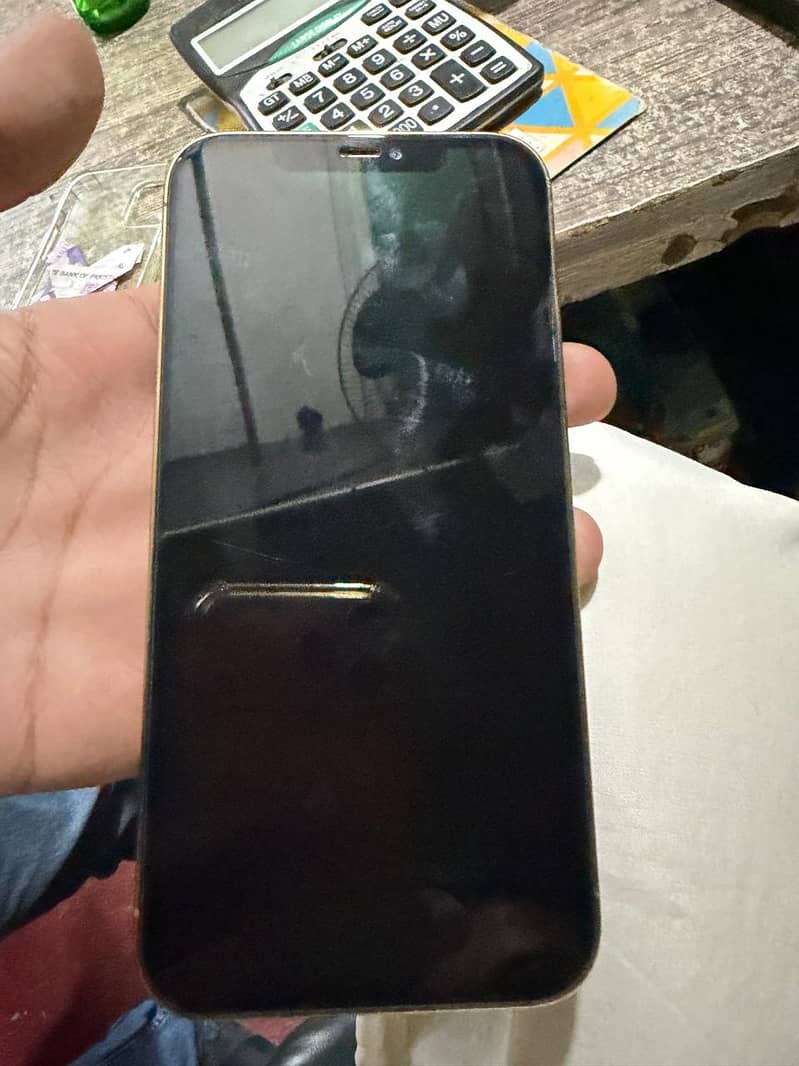 Apple iPhone 12 Pro Max 1