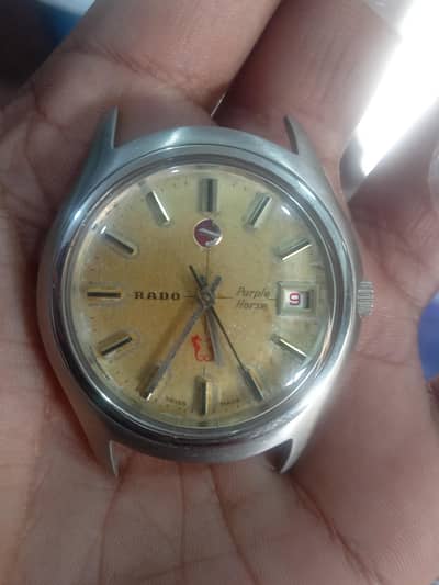 rado purple horse