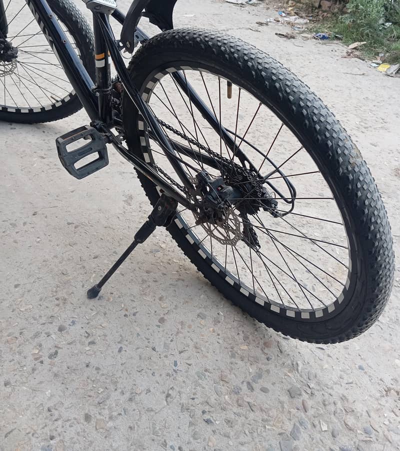 Imported bicycle 1