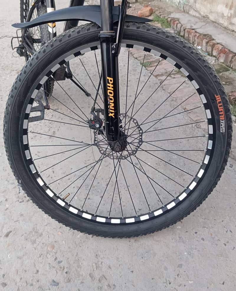 Imported bicycle 3