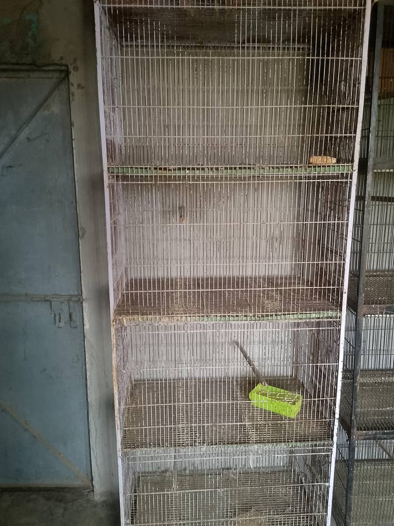 4 PORTION CAGE 1