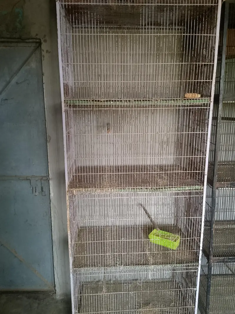 4 PORTION CAGE — photo 2