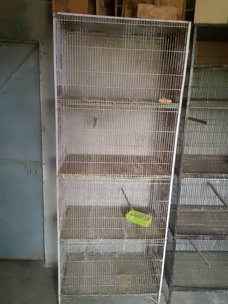 4 PORTION CAGE 2