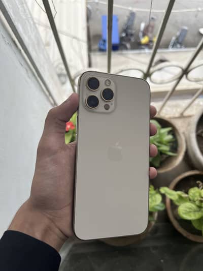 Apple iPhone 12 Pro Max Factory unlock
