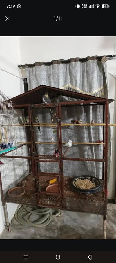 iron bird Colony cage parrot