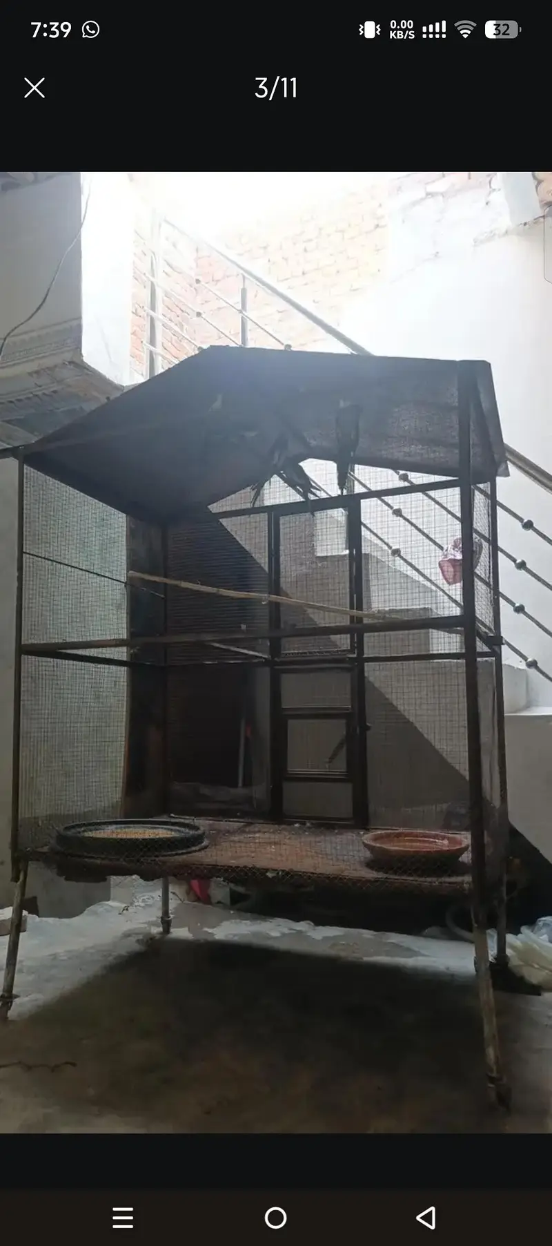 iron bird Colony cage parrot — photo 2